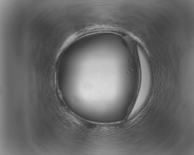 X0000051251365200507082139