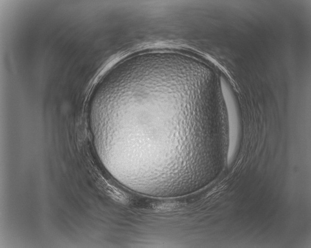 X0000051251367200507082139