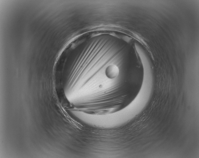 X0000051251368200507082139