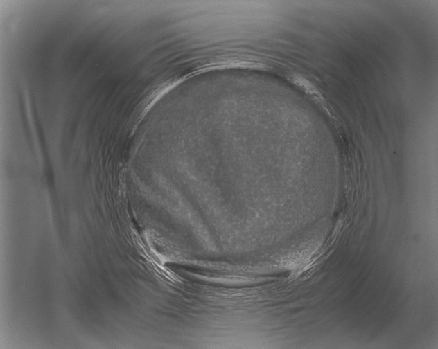 X0000051251369200507082139