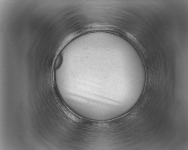 X0000051251370200507082139