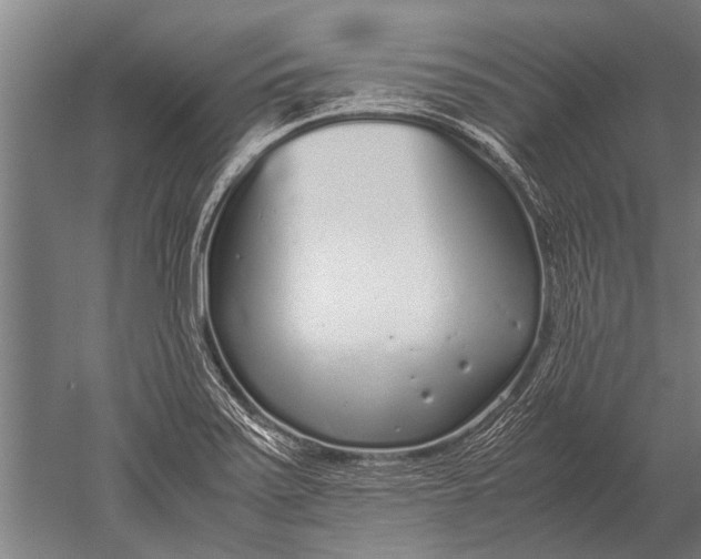 X0000051251371200507082139