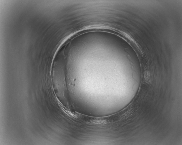 X0000051251372200507082139