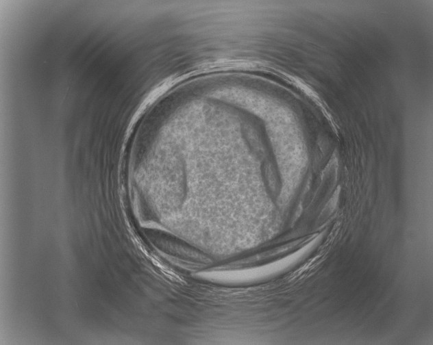 X0000051251373200507082139