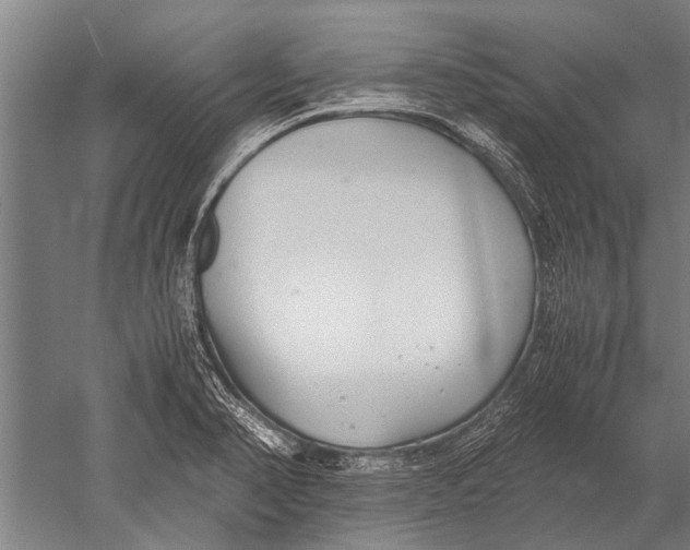 X0000051251374200507082139