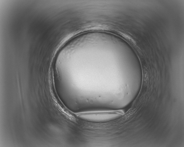 X0000051251375200507082139