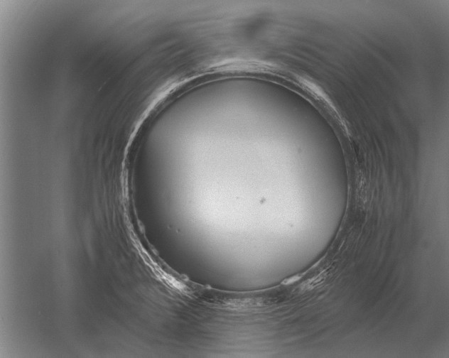 X0000051251376200507082139