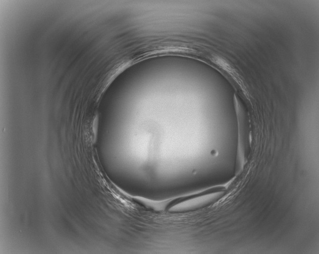 X0000051251377200507082139