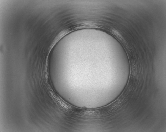 X0000051251378200507082139