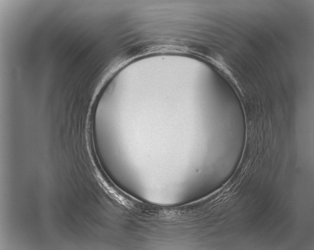 X0000051251379200507082139