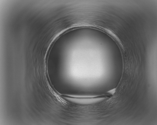 X0000051251380200507082139