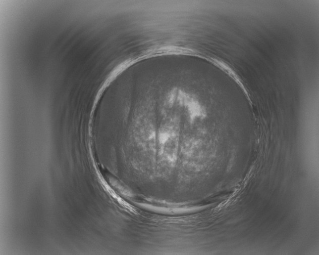 X0000051251381200507082139