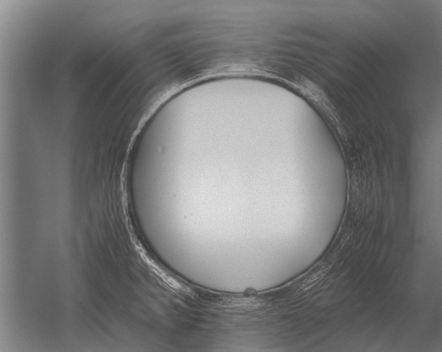 X0000051251382200507082139