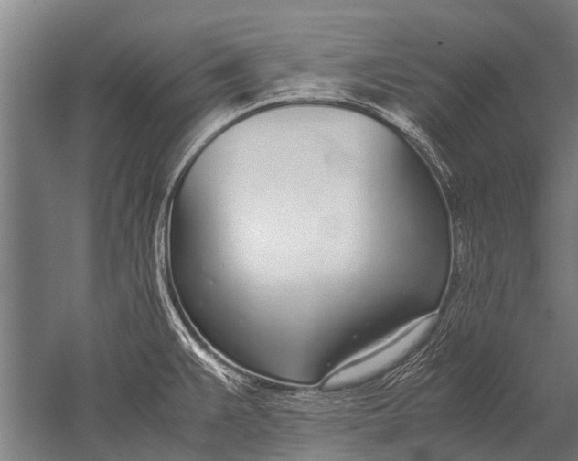 X0000051251383200507082139