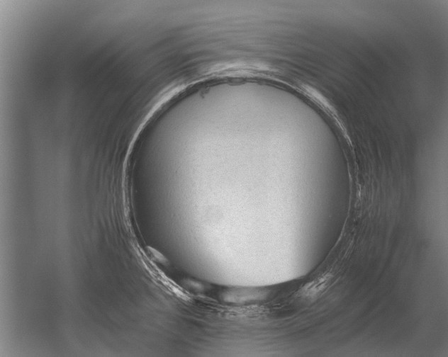 X0000051251384200507082139