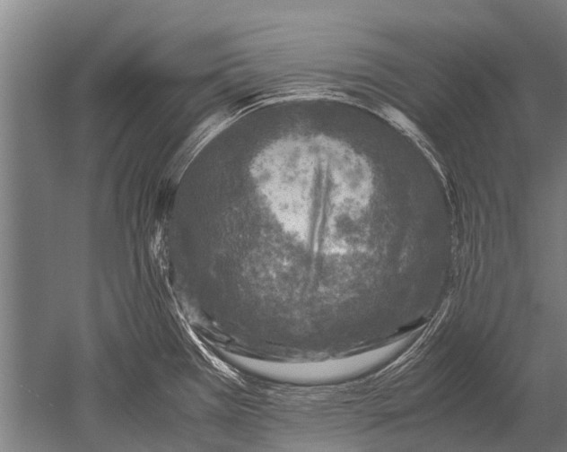 X0000051251385200507082139