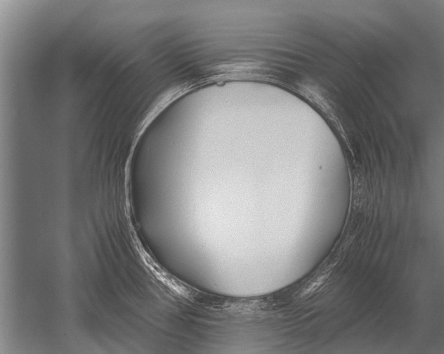 X0000051251386200507082139