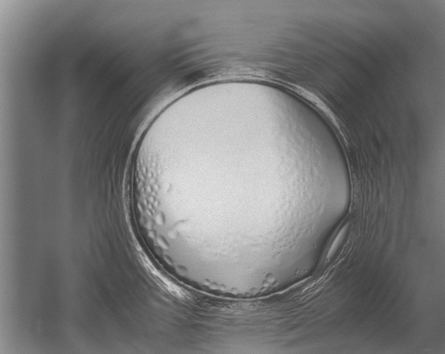 X0000051251387200507082139