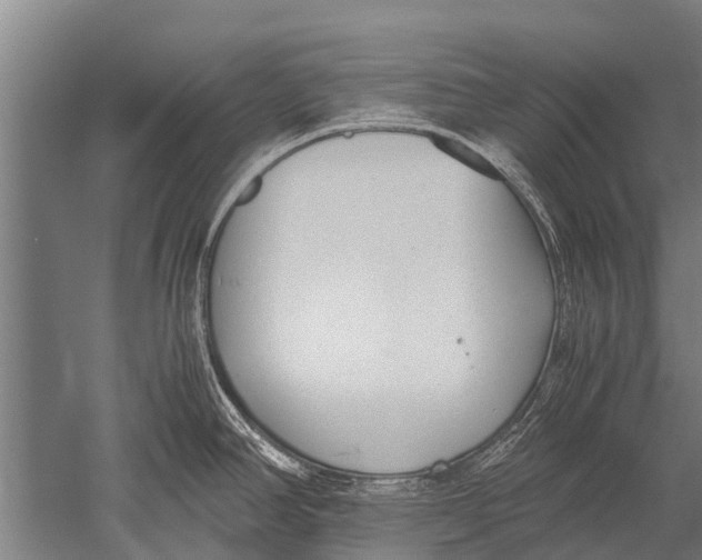 X0000051251390200507082139