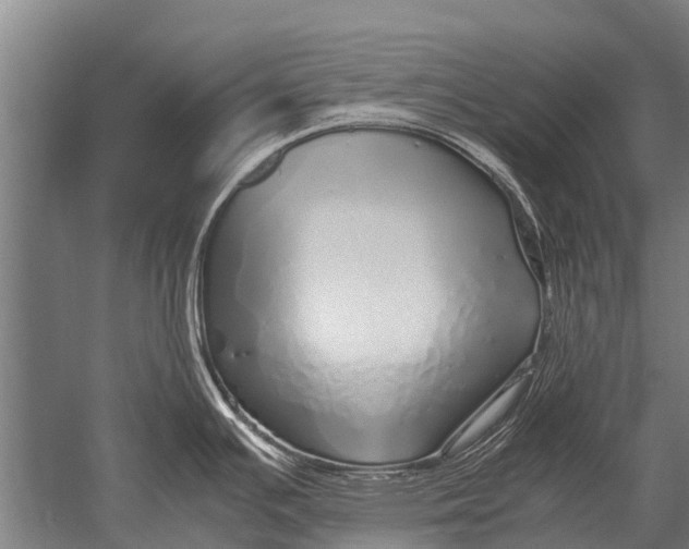 X0000051251391200507082139