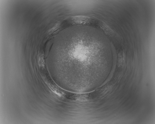 X0000051251394200507082138