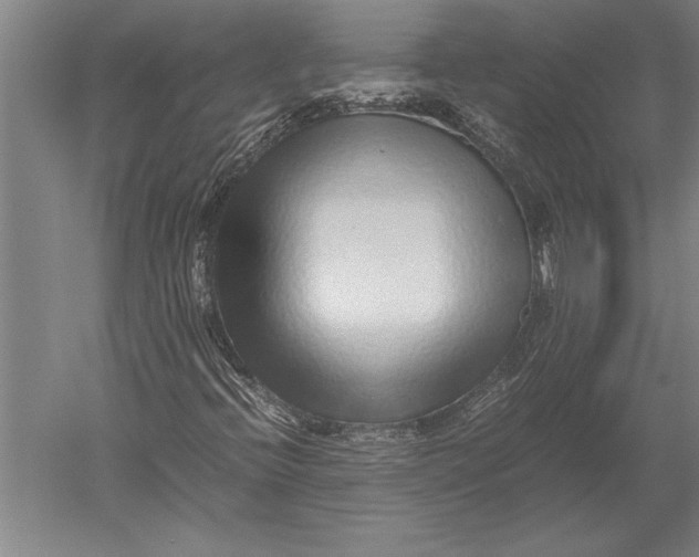 X0000051251396200507082138