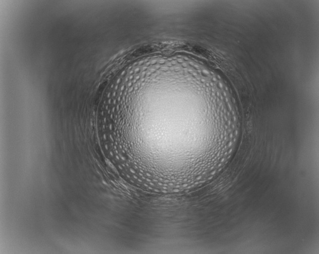 X0000051251397200507082138