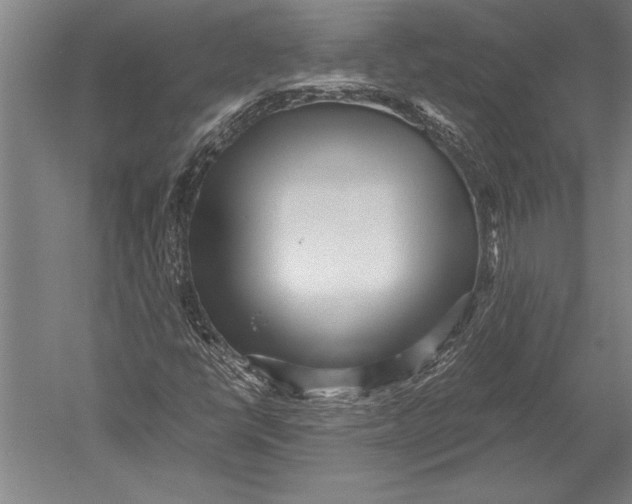 X0000051251398200507082138