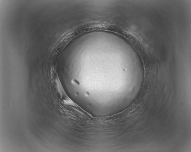 X0000051251399200507082138