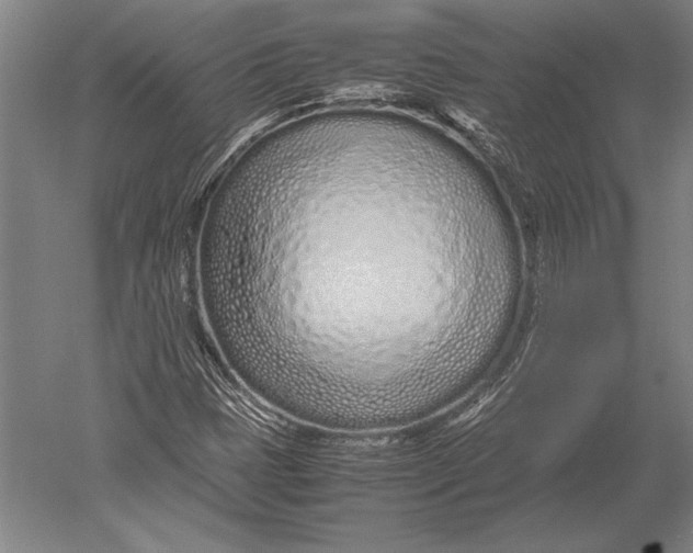 X0000051251401200507082138