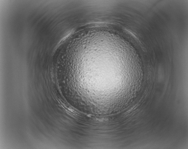 X0000051251403200507082138