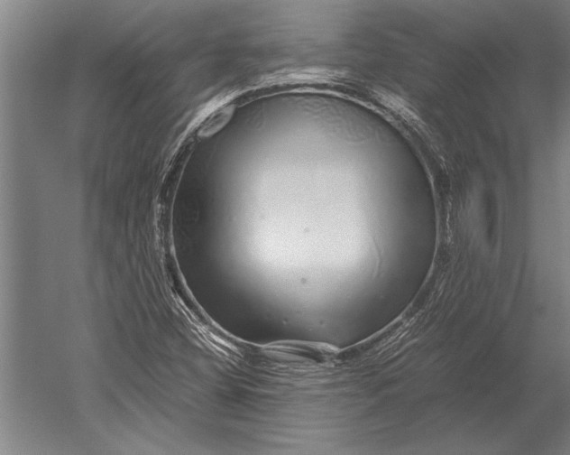 X0000051251404200507082138