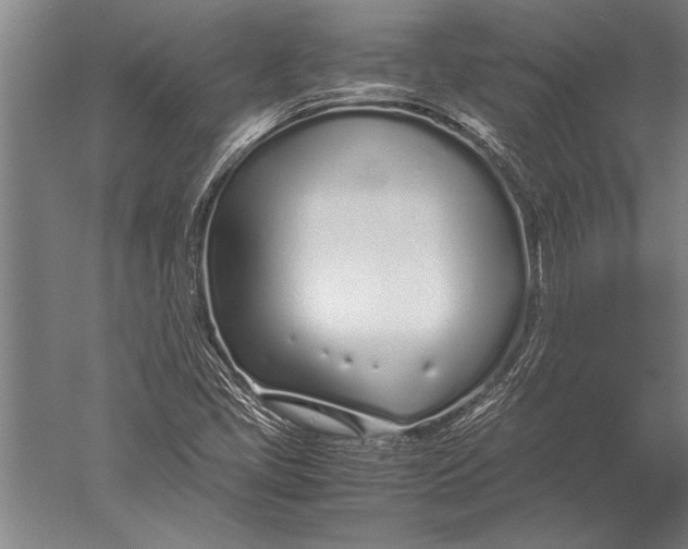 X0000051251405200507082138