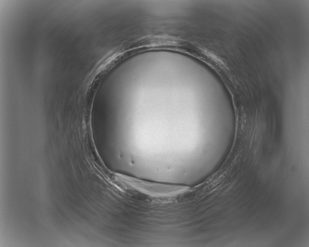 X0000051251407200507082138