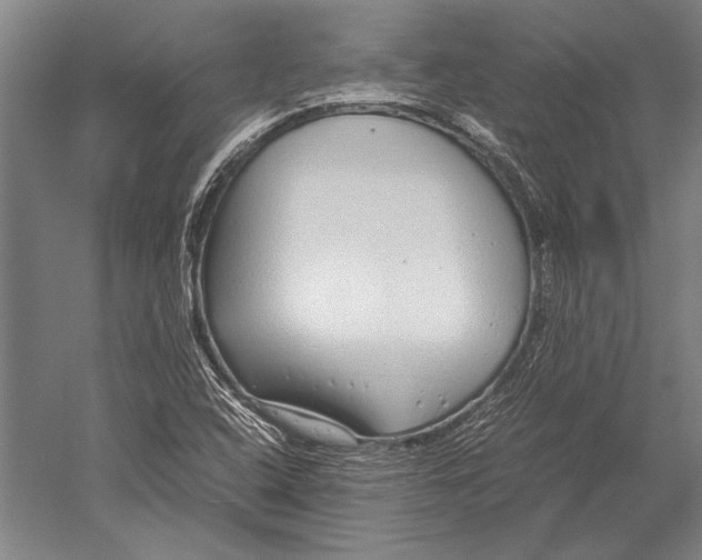 X0000051251408200507082138