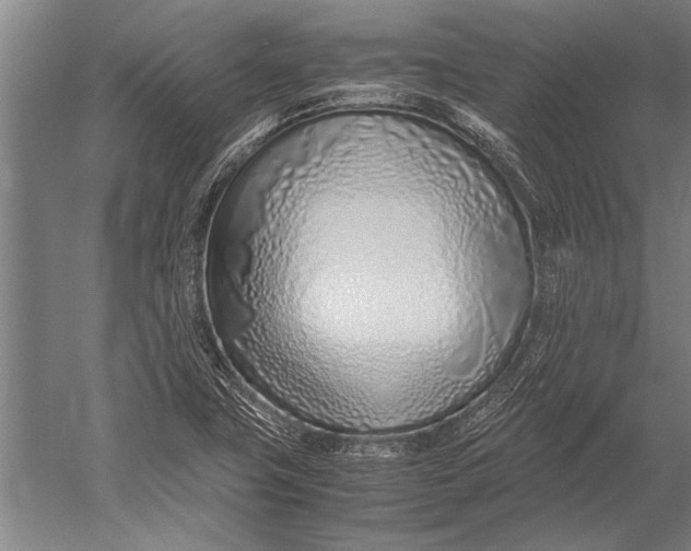 X0000051251411200507082138