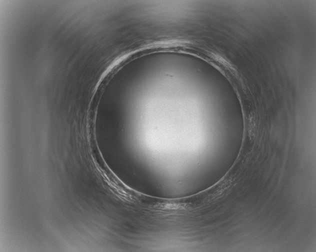 X0000051251412200507082138