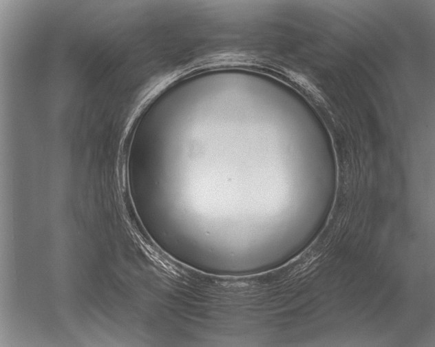 X0000051251413200507082138