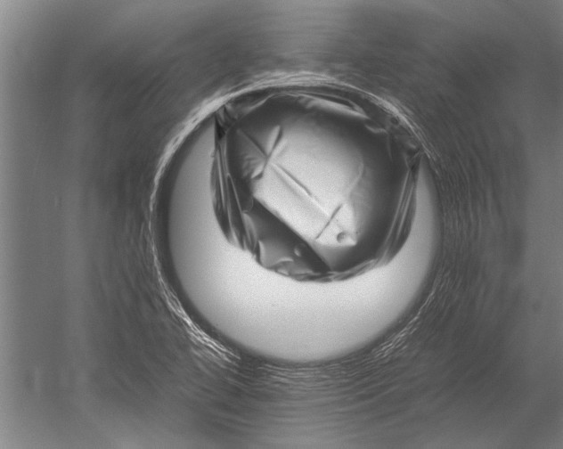 X0000051251414200507082138