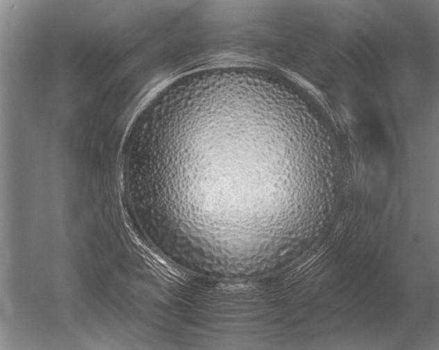 X0000051251415200507082138