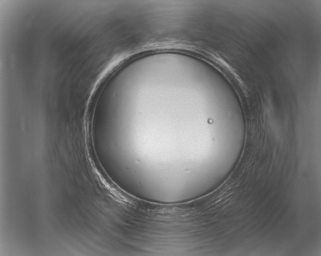 X0000051251416200507082138