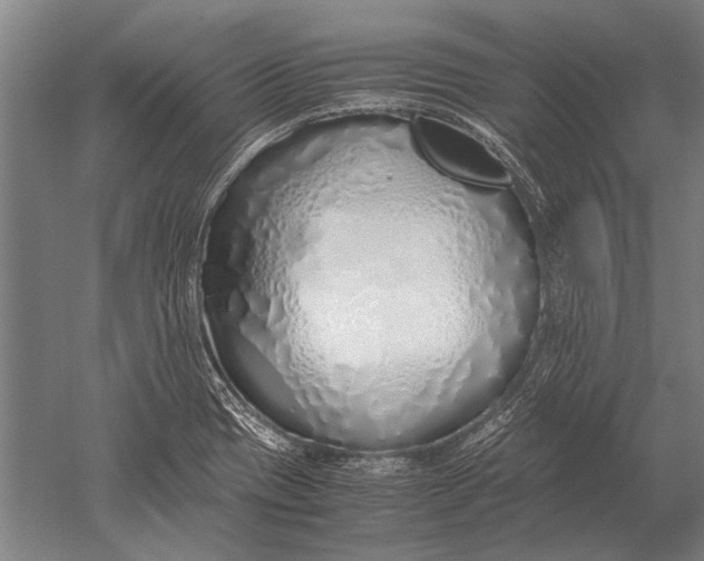 X0000051251417200507082138