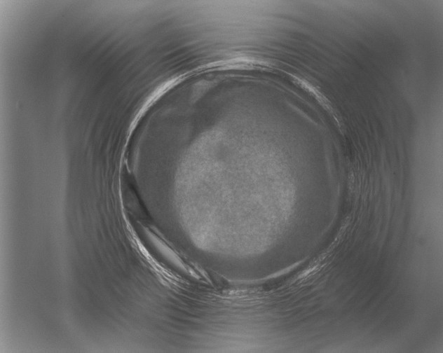 X0000051251418200507082138