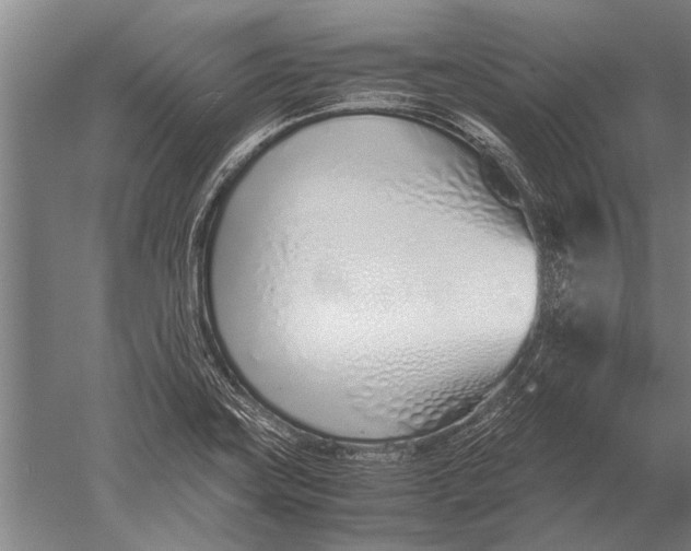 X0000051251419200507082138