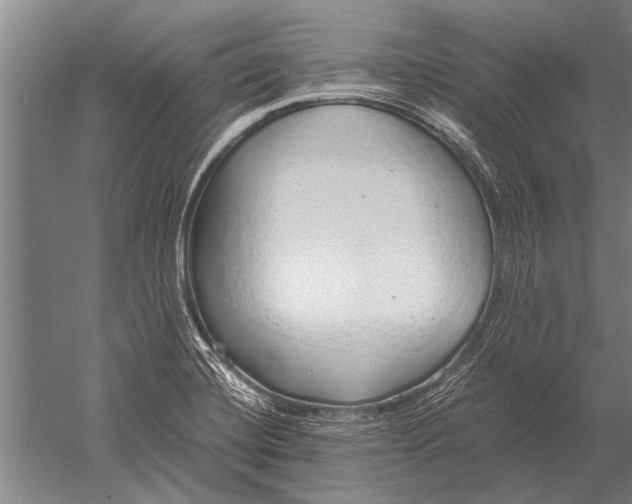 X0000051251420200507082138