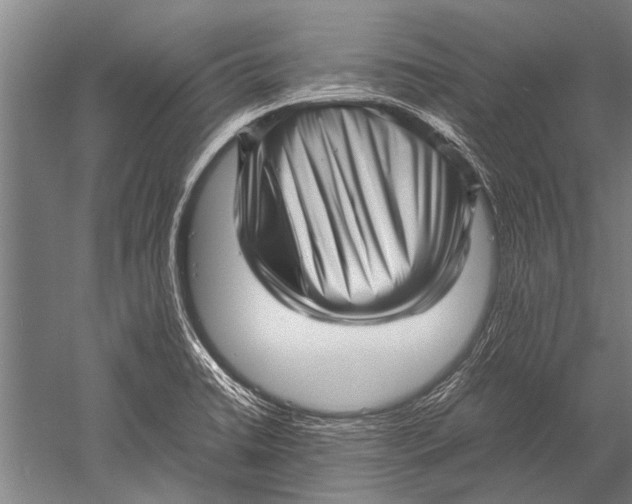 X0000051251422200507082138