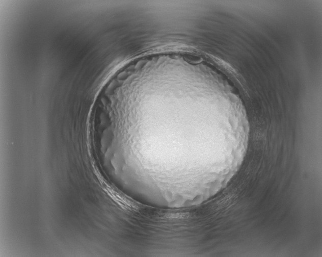 X0000051251423200507082138