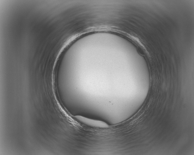 X0000051251424200507082138