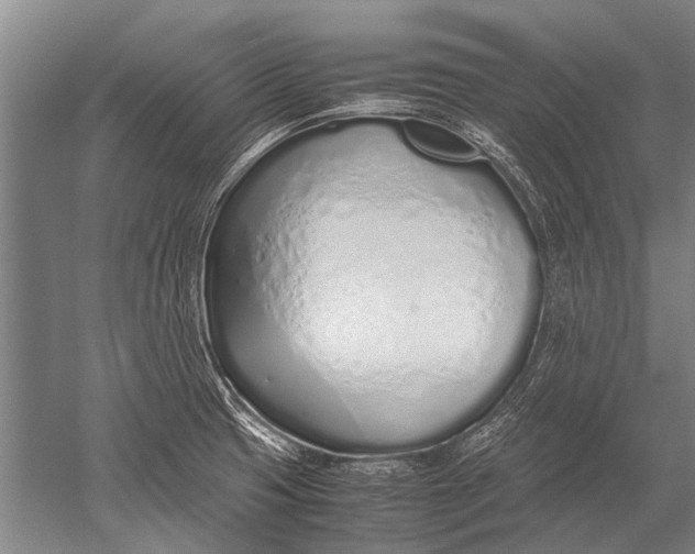 X0000051251425200507082138