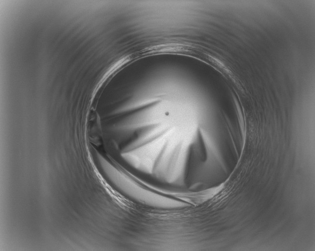 X0000051251426200507082138